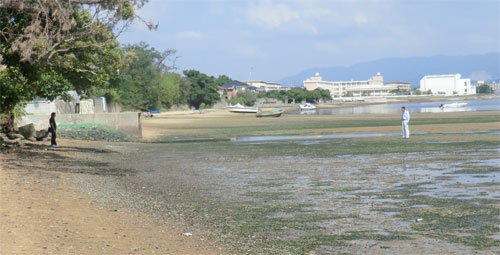 博多湾再生