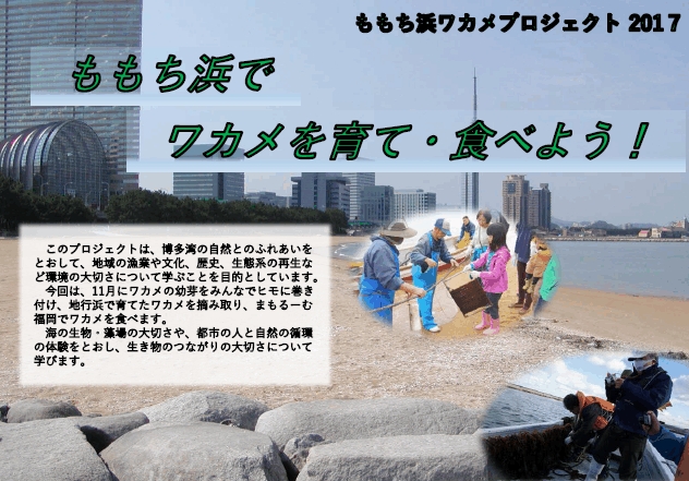 ワカメプロジェクト2017