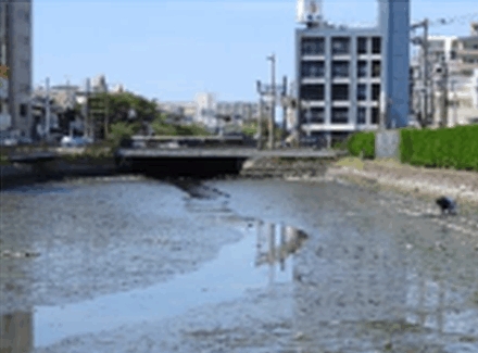 黒門川底質改善試験