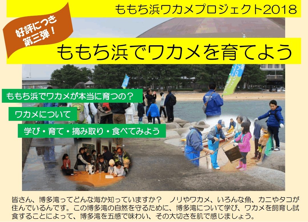 ワカメプロジェクト2018
