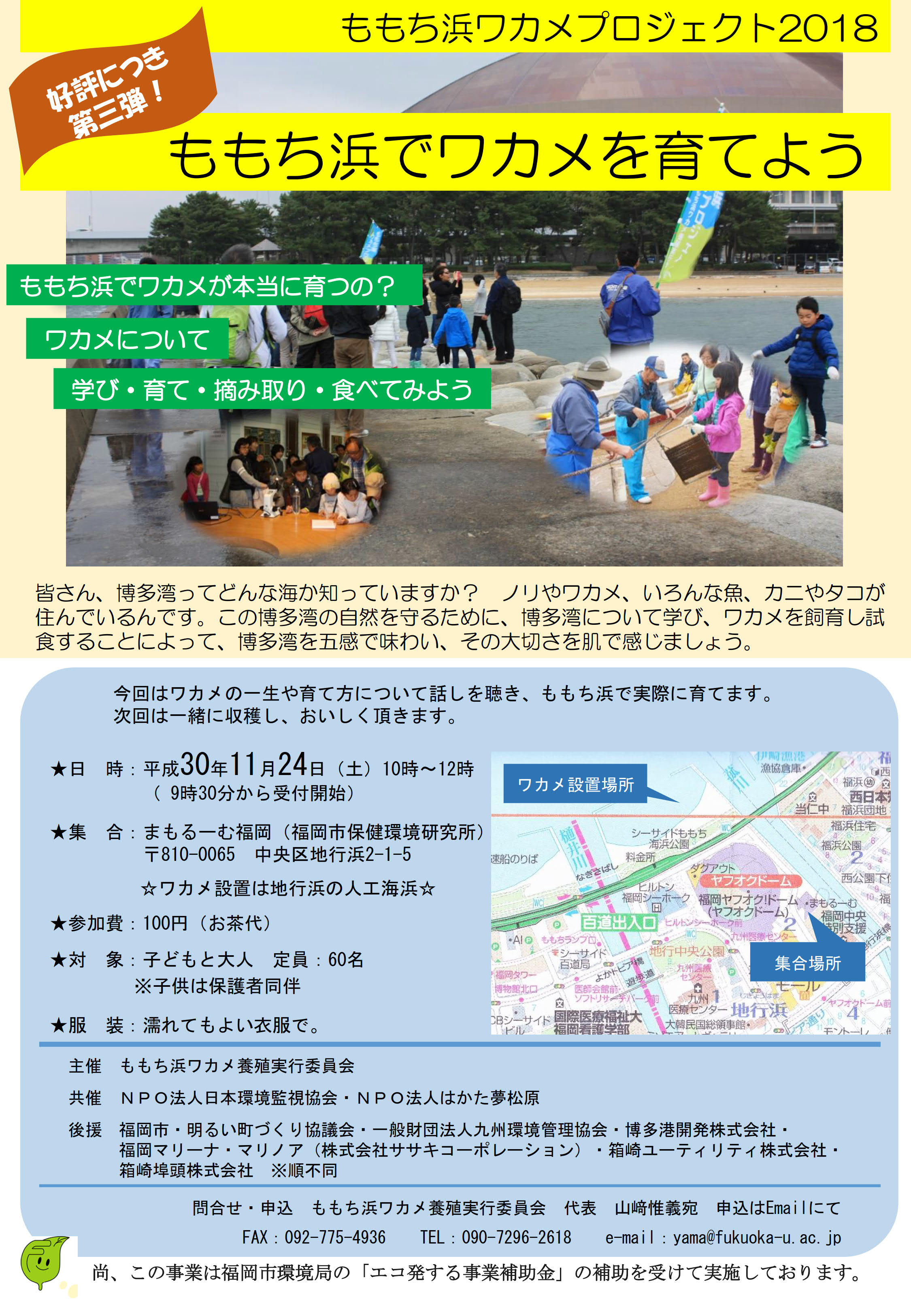 ワカメプロジェクト2018企画