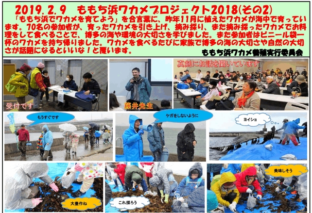 ワカメプロジェクト2018