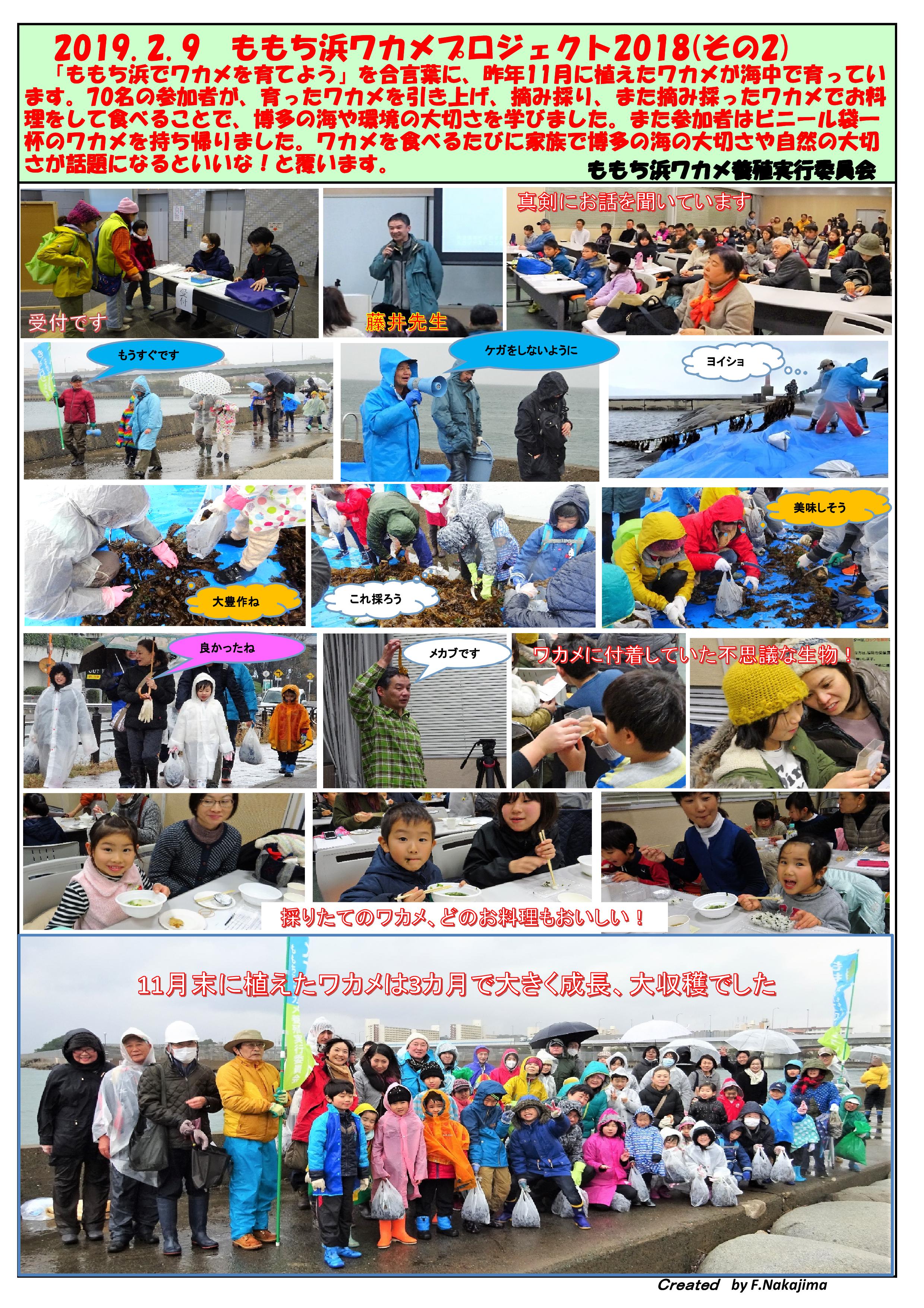 ワカメプロジェクト2018(収穫)報告