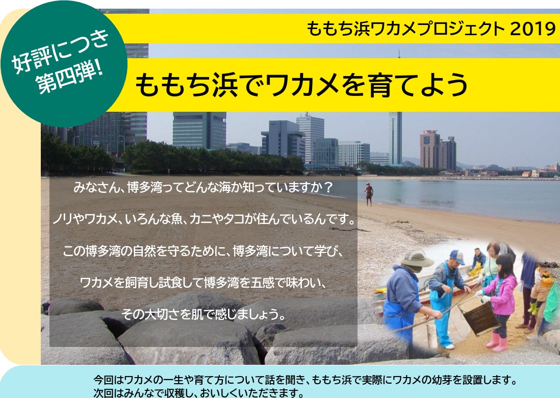 ワカメプロジェクト2019
