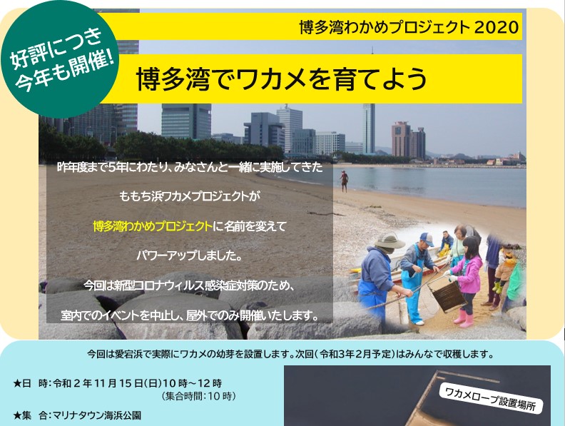 博多湾わかめプロジェクト