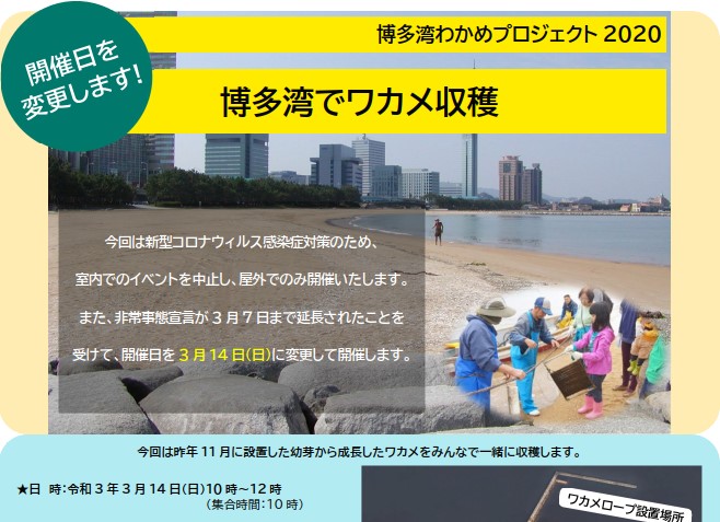 博多湾わかめプロジェクト